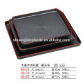 Creative plastic food serving tray with wood grain